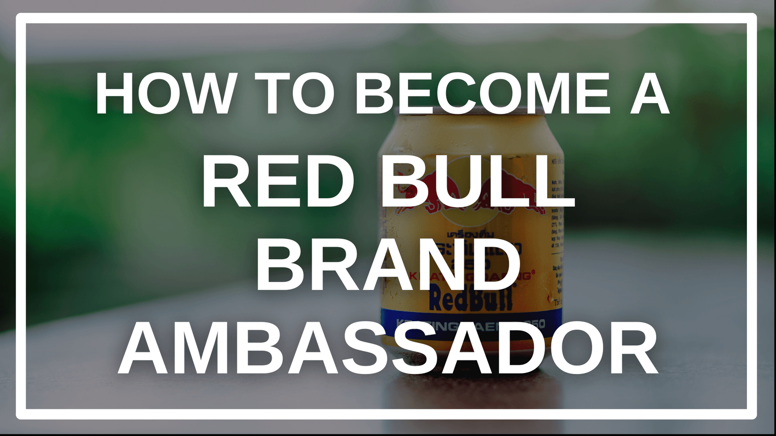 How to a Red Bull Ambassador CrewFire Red Bull Ambassador Program